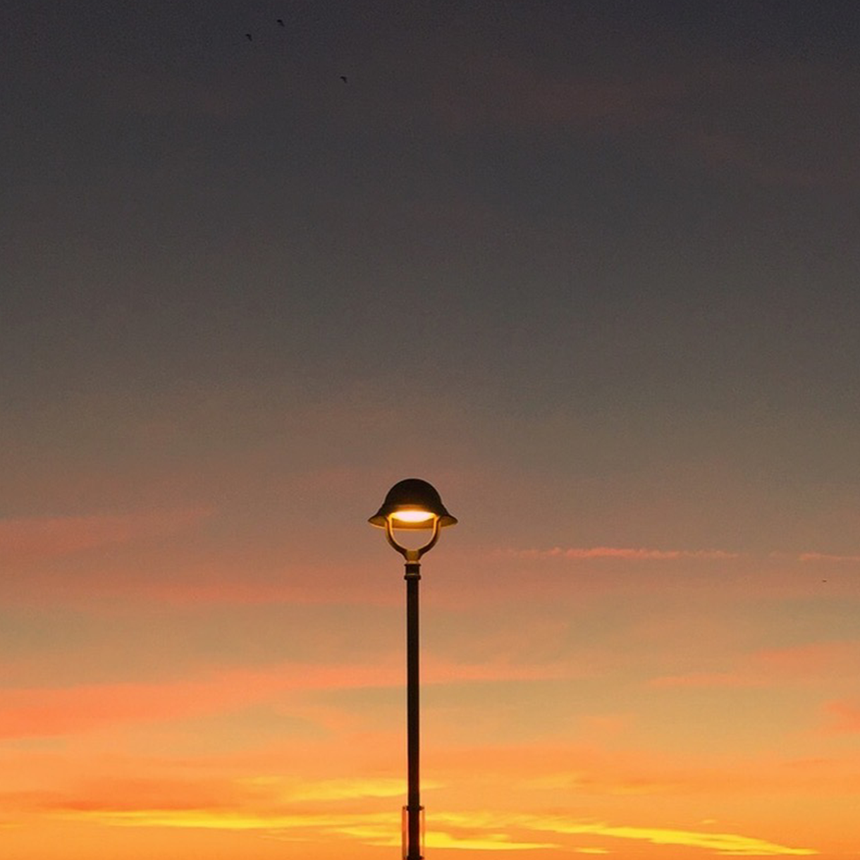 header-image-7
