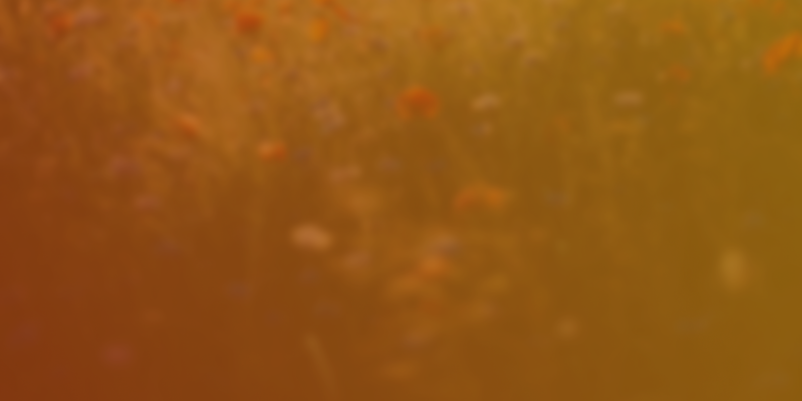 email-backdrop
