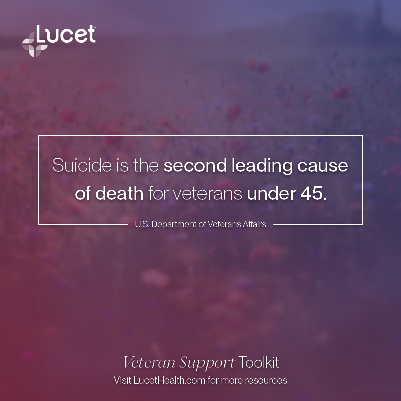 Social-Veteran-Understanding-mental-health-risks